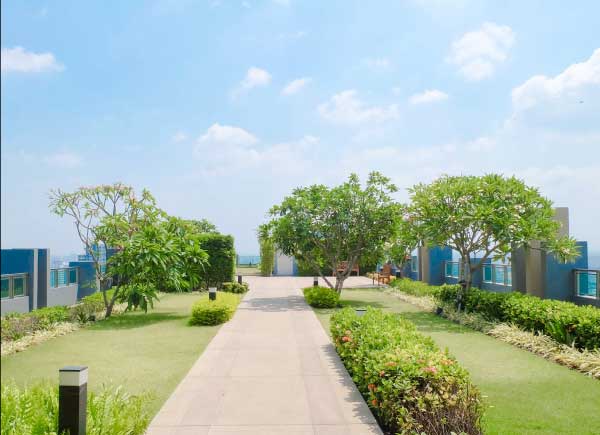 42 Mill Street Amico Green Energy Program